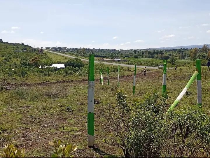 1/8 acre, laikipia plot for sale, Nyeri-Nanyuki highway.