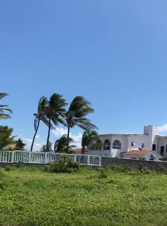 Nyali