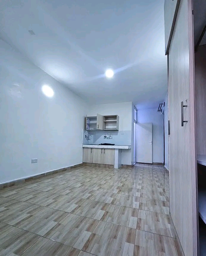 Bedsitter to let,Ruaka
