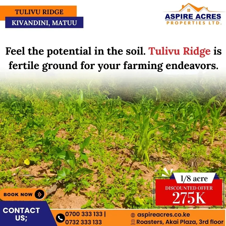 1/8 acre for sale,Kivandini,Matuu