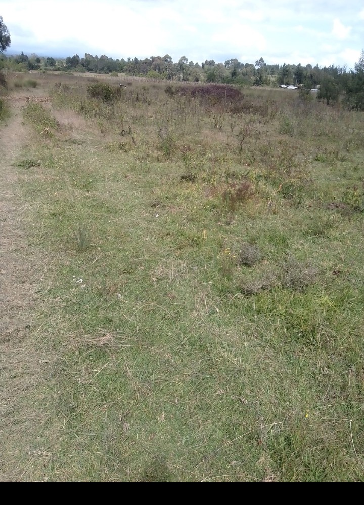 Land half acre