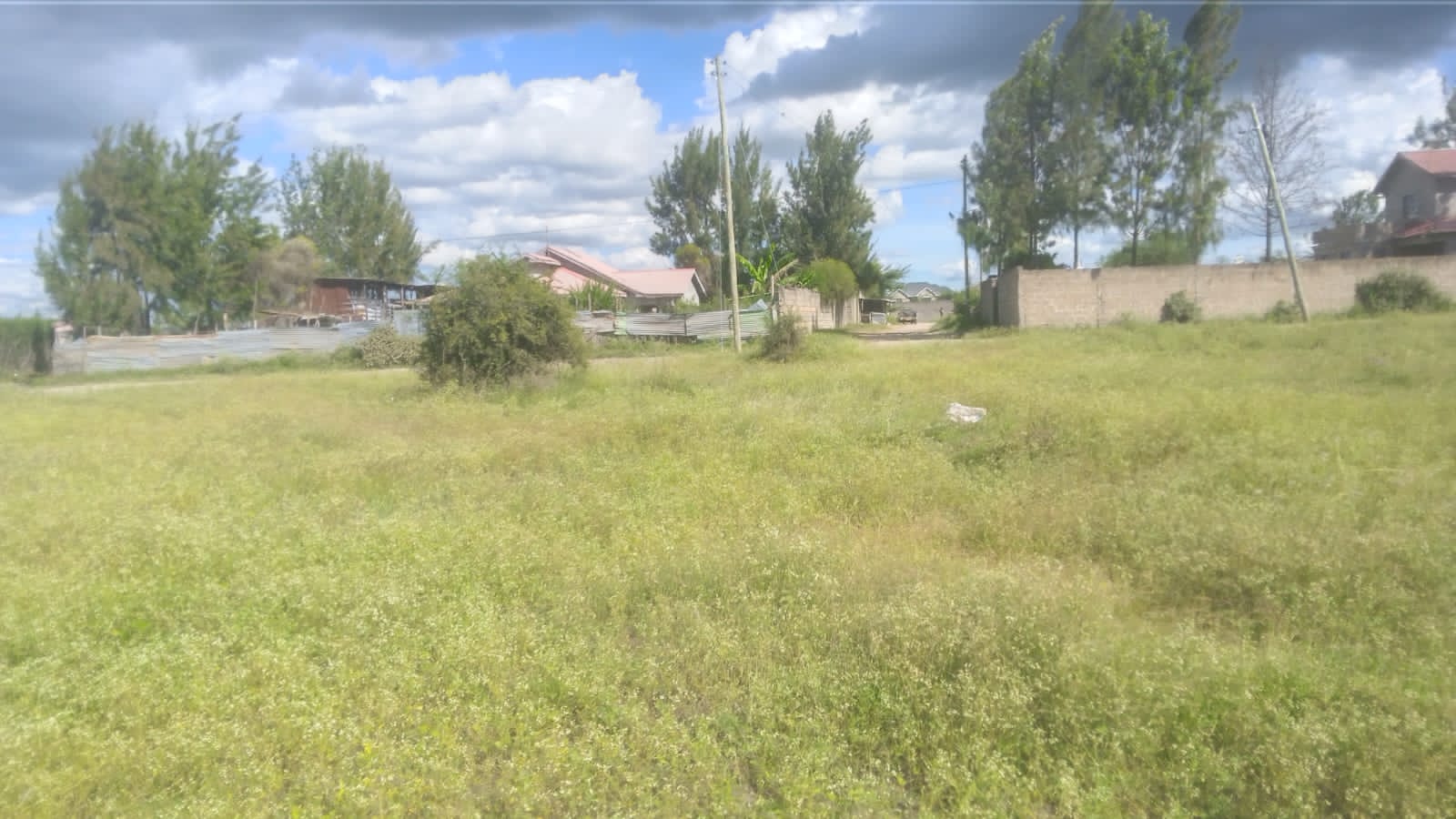 commercial plots