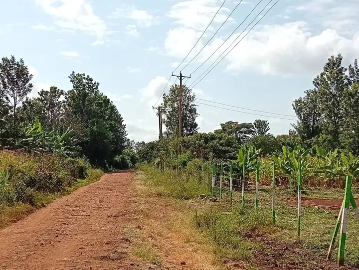 1/8 Acre land for sale,Muranga