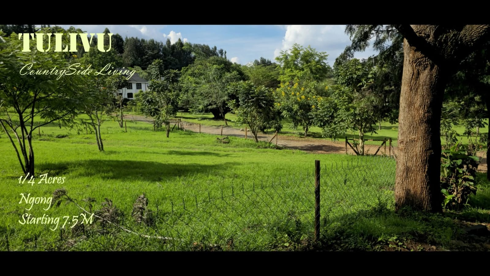 Tulivu, Ngong quarter acres for sale