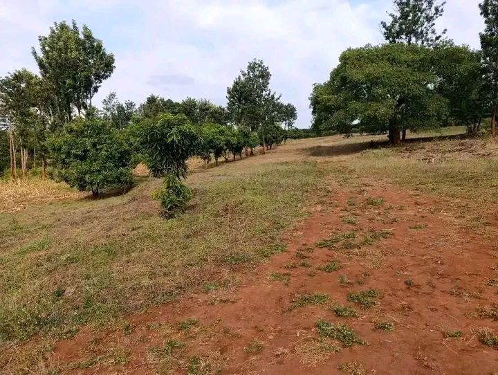 2 acres for sale,Makuyu, Muranga county