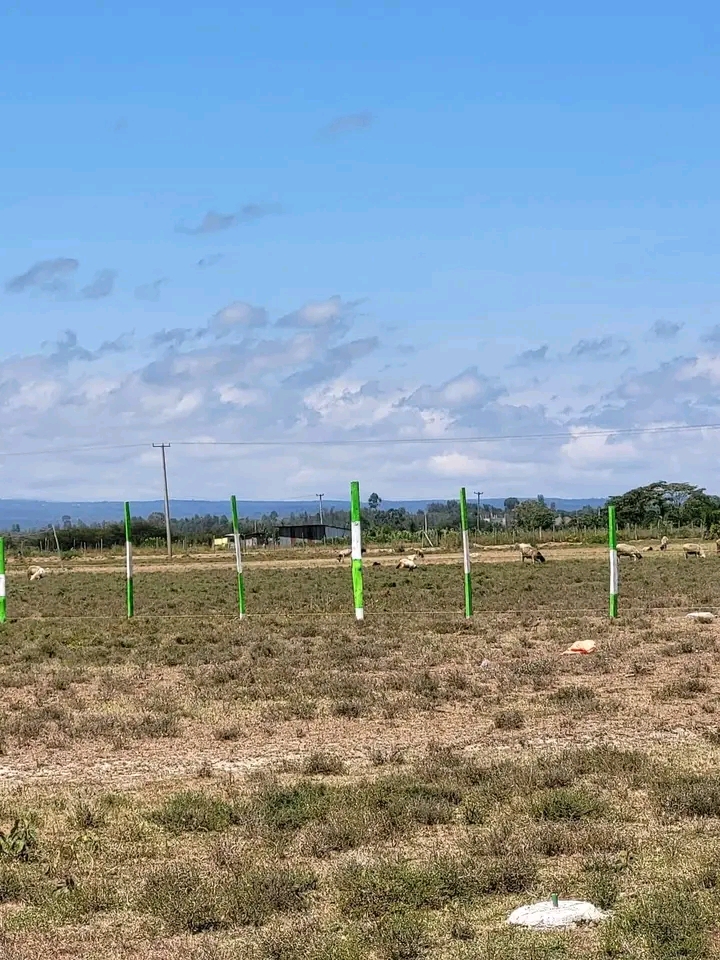 1/8 Acre plot for sale,Nanyuki