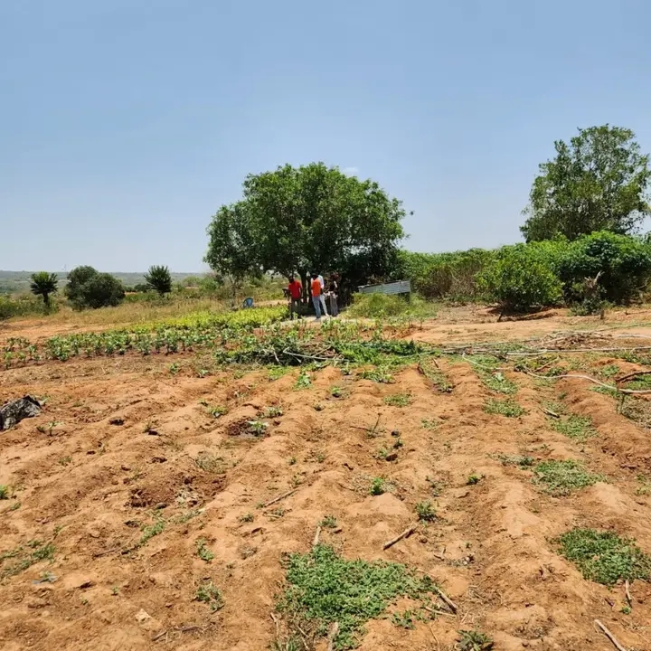 Prime land,in acres, in Malindi