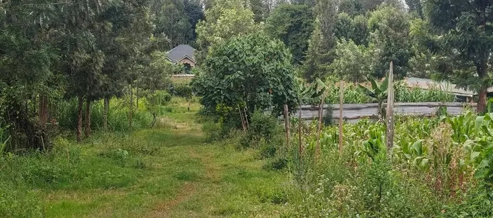 Prime Residential 50 by 100 plot for sale,Gatitu,Nyeri
