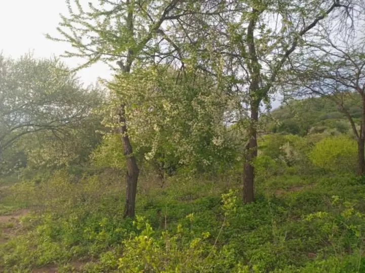 1 acre for sale,Kanthuni,Makueni