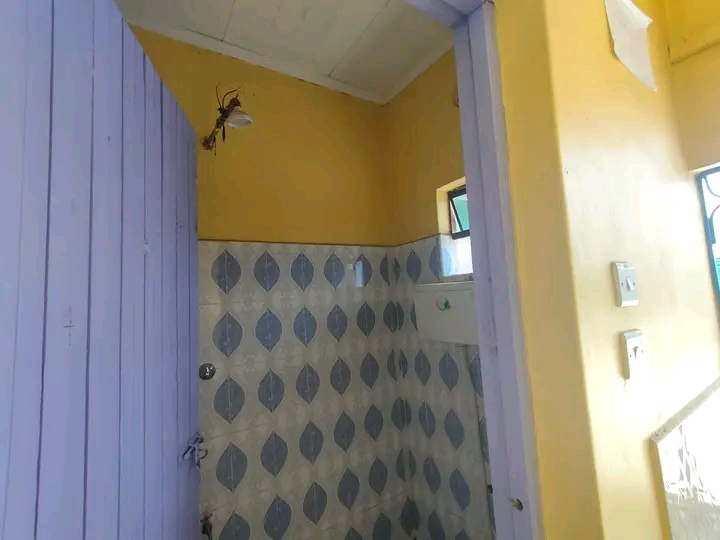 Apartment to Let in Nakuru, Nakuru  — KES 6,500/month