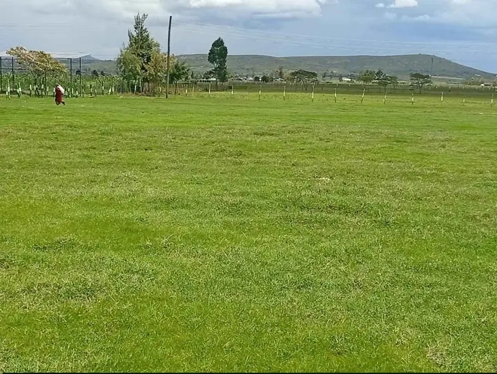 Solio village,Nyeri-Nyahururu highway
