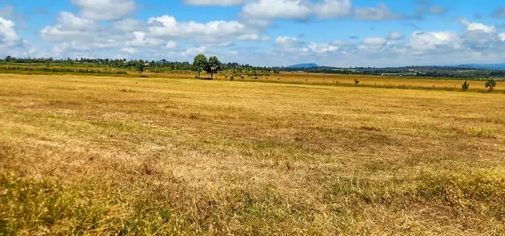 Acre plot for sale,Kieni Solio