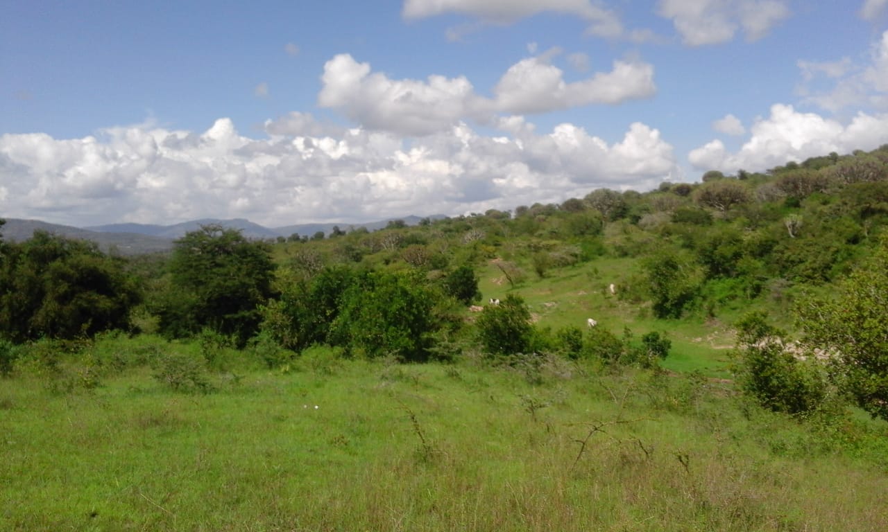 Land for Sale in Machakos, Machakos  — KES 2,400,000